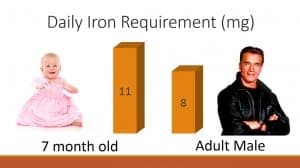 Daily Iron Requirements for babies vs. adult male