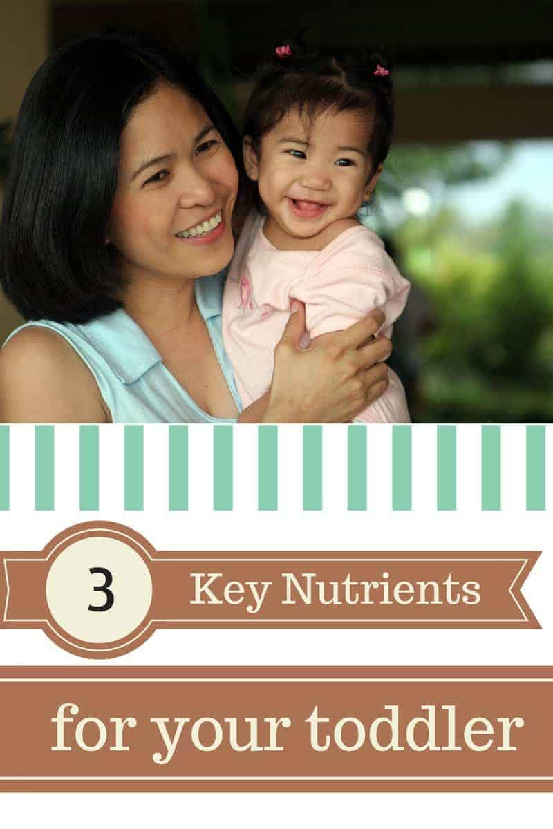 Key Nutrients for your Toddler