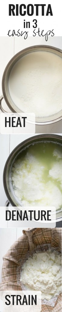 Ricotta in 3 Easy Steps