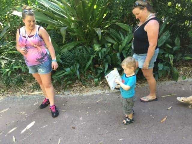explorers guide at animal kingdom