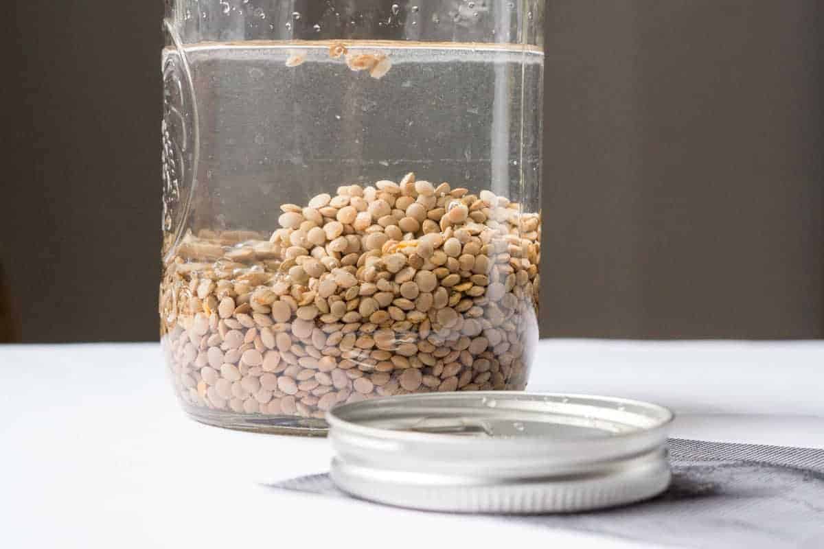 lentils soaking before sprouting